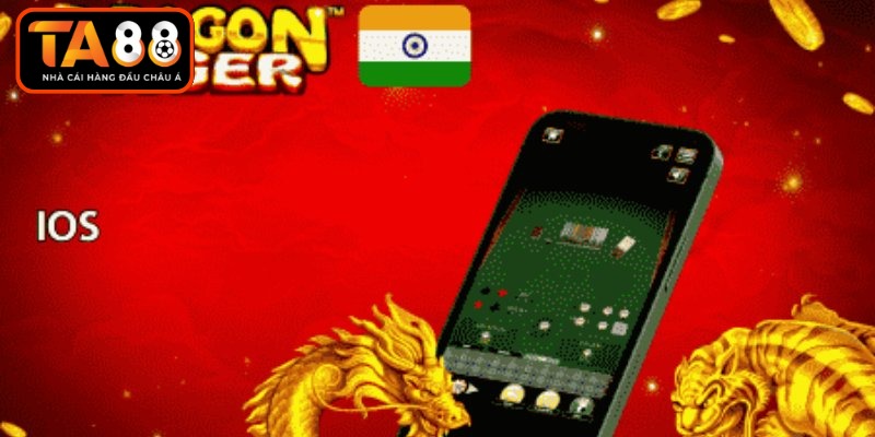 Dragon Tiger Online - Trò Chơi Sòng Bài Đẳng Cấp Nhất